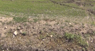 Muore in un campo nel Cuneese, vicino a un trattore